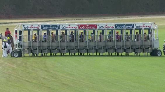 View video › View video ›