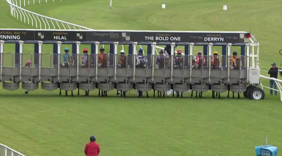 View video › View video ›