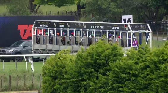 View video › View video ›