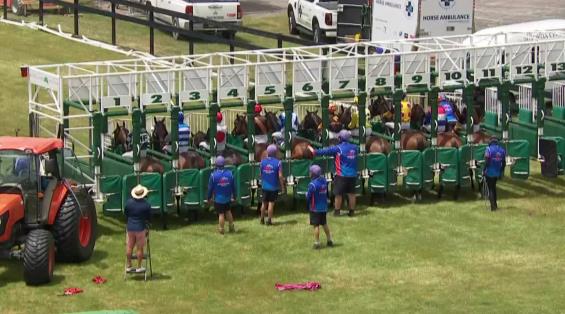 View video › View video ›