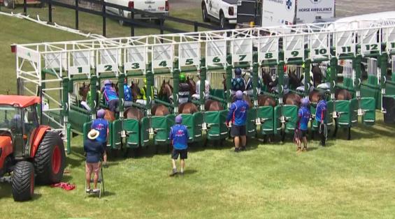 View video › View video ›