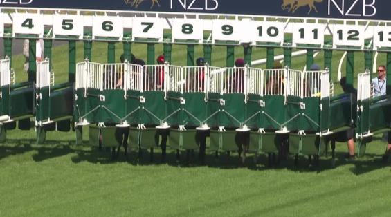 View video › View video ›