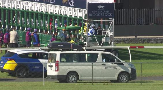 View video › View video ›