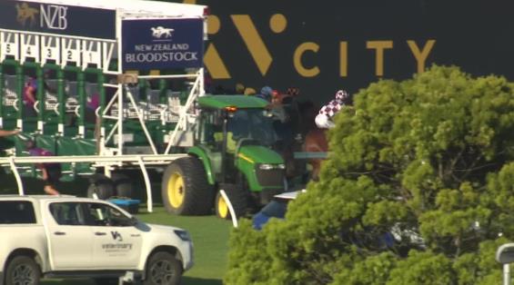 View video › View video ›