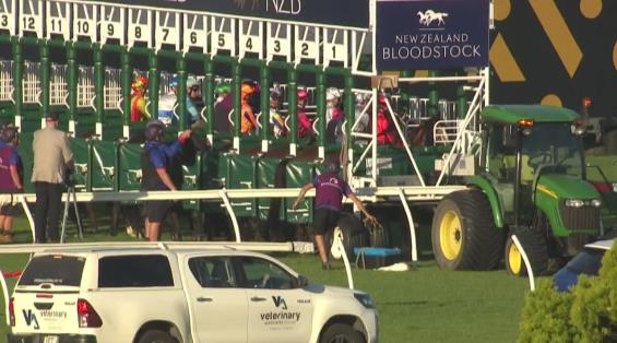 View video › View video ›