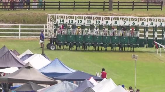 View video › View video ›