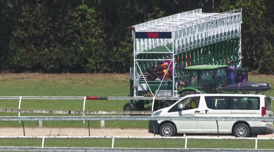 View video › View video ›