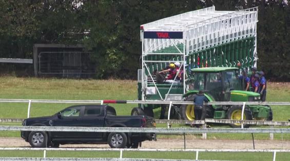 View video › View video ›