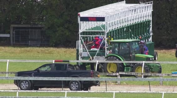 View video › View video ›