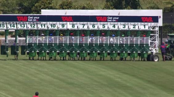 View video › View video ›