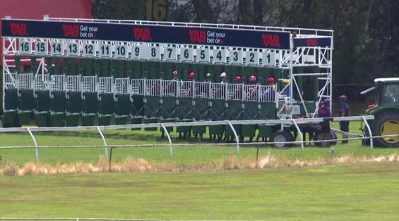 View video › View video ›