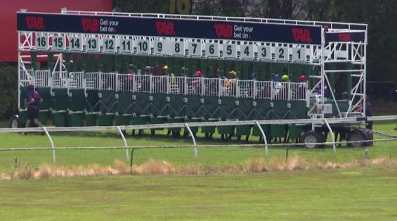 View video › View video ›