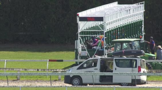 View video › View video ›