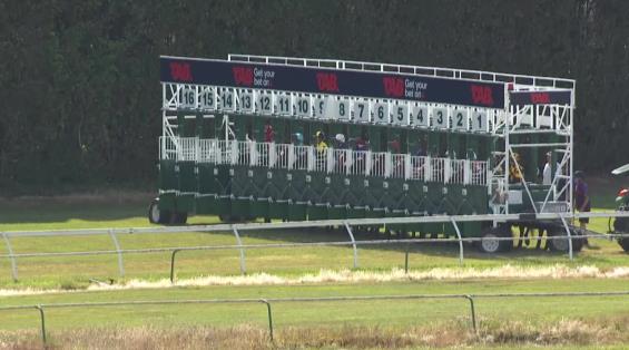 View video › View video ›