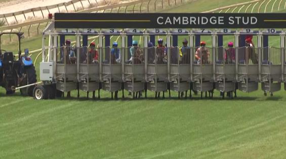 View video › View video ›