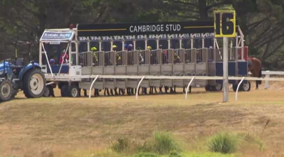 View video › View video ›