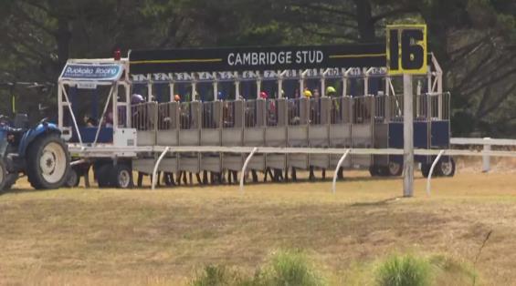 View video › View video ›