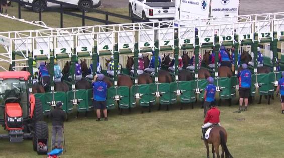 View video › View video ›