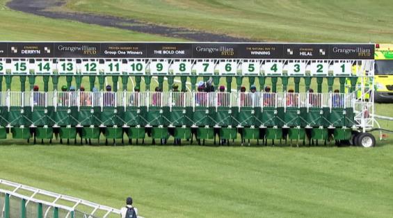 View video › View video ›