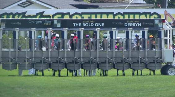 View video › View video ›