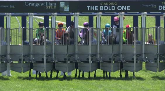 View video › View video ›