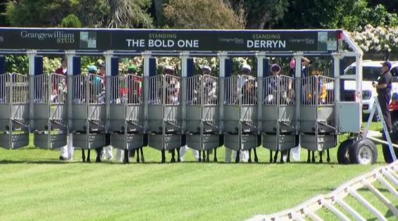 View video › View video ›