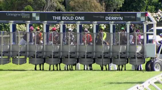 View video › View video ›