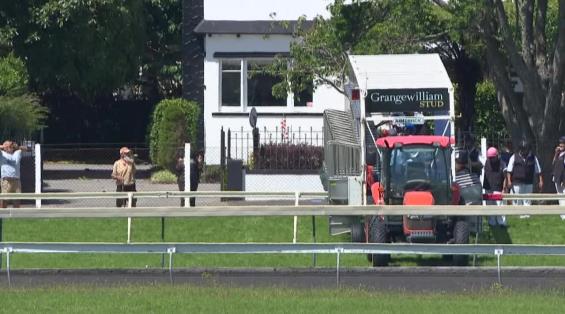 View video › View video ›