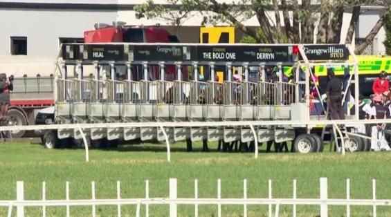 View video › View video ›