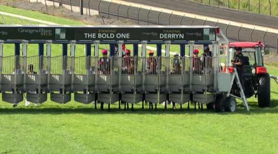 View video › View video ›