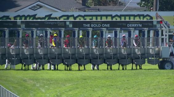 View video › View video ›