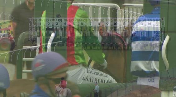 View video › View video ›