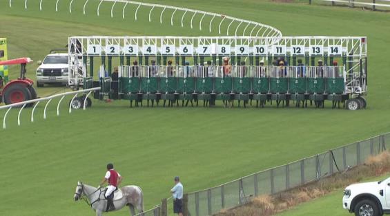 View video › View video ›