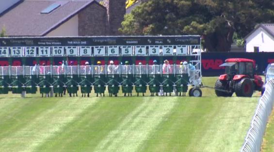 View video › View video ›