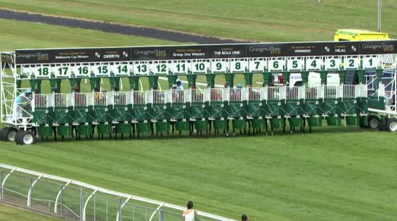 View video › View video ›