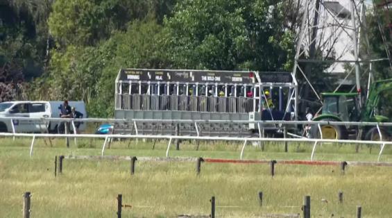 View video › View video ›