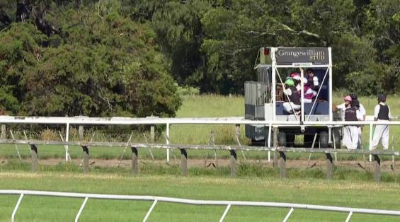 View video › View video ›