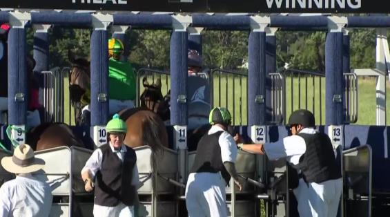 View video › View video ›