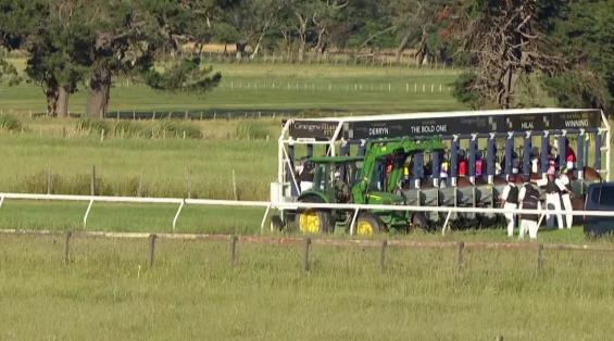 View video › View video ›