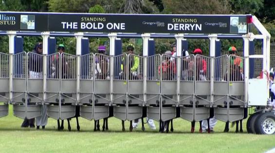 View video › View video ›