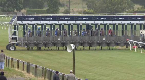 View video › View video ›