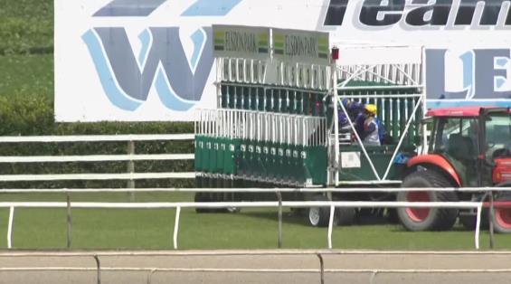 View video › View video ›