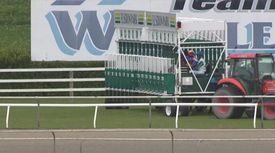 View video › View video ›