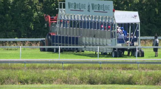 View video › View video ›