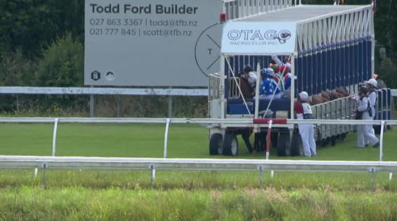 View video › View video ›