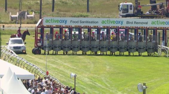 View video › View video ›