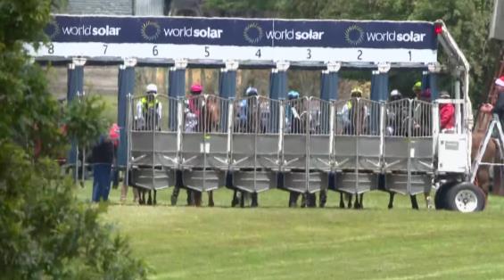 View video › View video ›