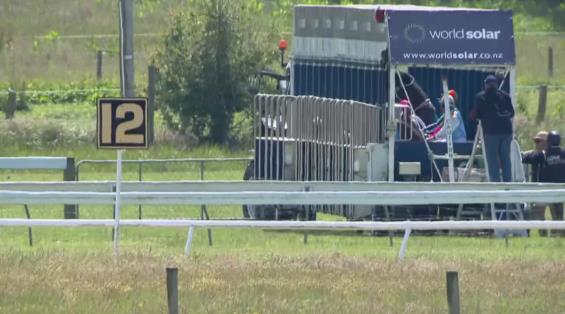 View video › View video ›