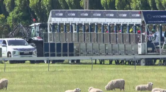 View video › View video ›