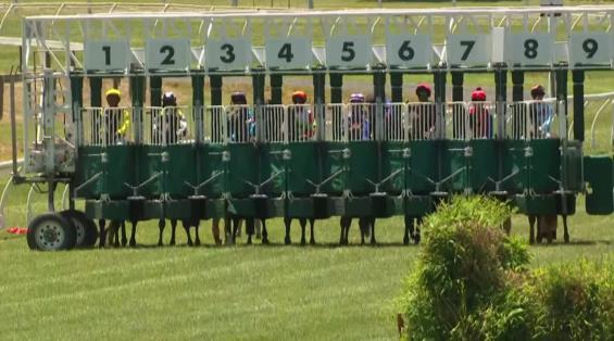 View video › View video ›